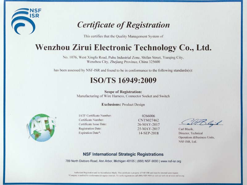 Passed ISO/TS16949 Certificate